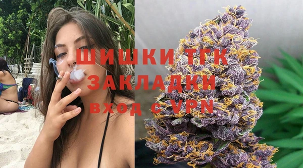 PSILOCYBIN Белокуриха